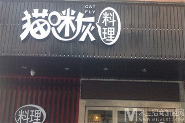 猫咪灰料理加盟