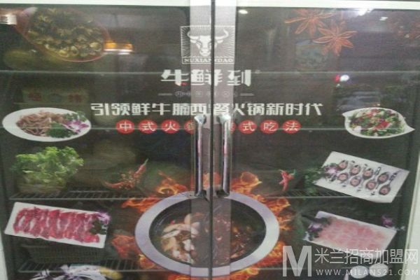 牛鲜到牛腩火锅加盟