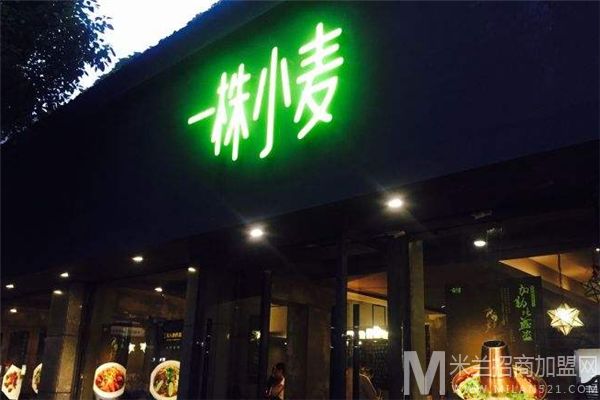 一株小麦餐厅加盟