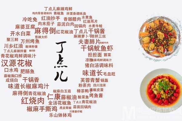 丁点儿调味料加盟