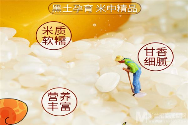 饭小铺加盟