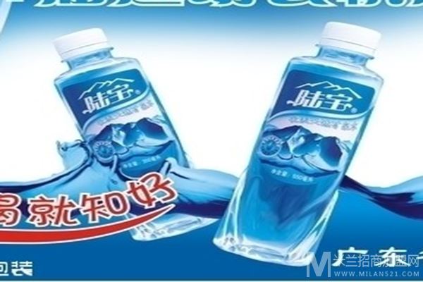 陆宝矿泉水加盟