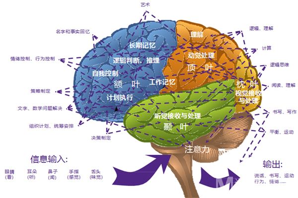 启慧教育加盟