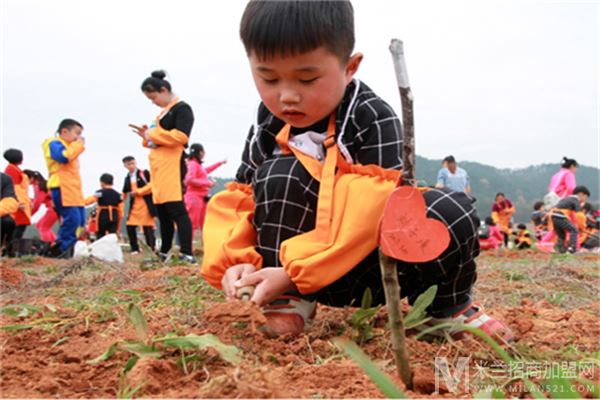 萌芽幼儿园加盟