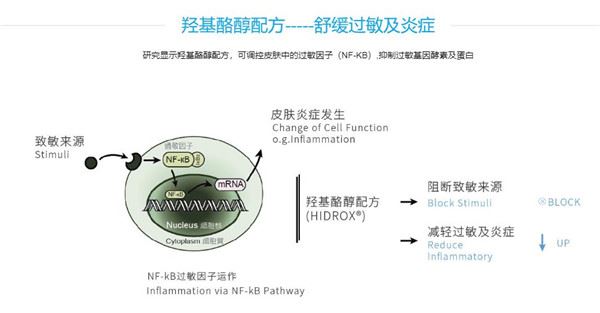 缔美诗皮肤管理加盟