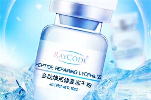 Raycode瑞伊寇加盟