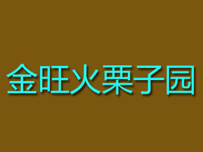 金旺火栗子