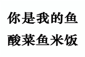 你是我的鱼酸菜鱼米饭加盟