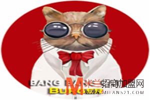 bangbangcat巴格猫加盟