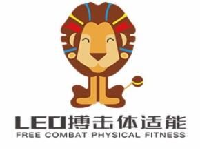 LEO搏击体适能