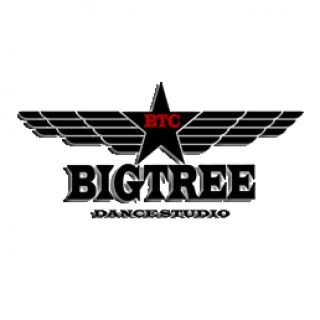 BIGTREE街舞