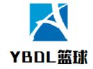 YBDL篮球培训