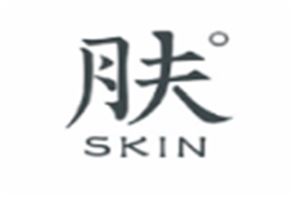 肤SKIN